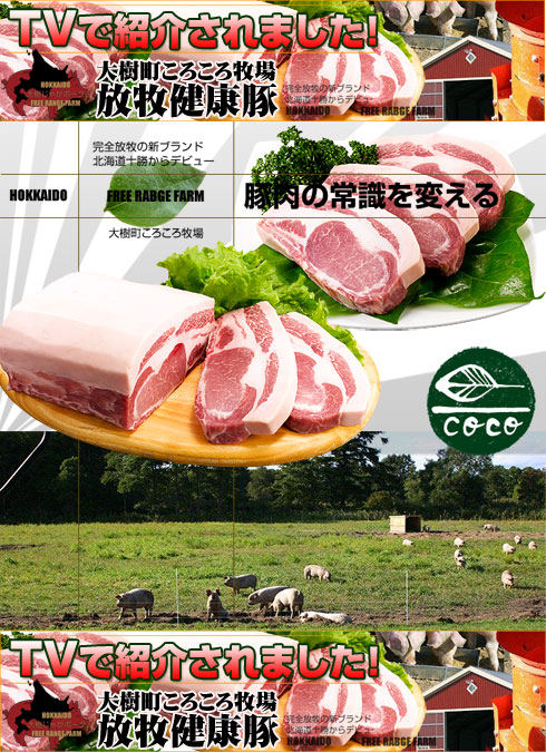�����ʥ����륳�������������åȡ��ϥ�С������͵�