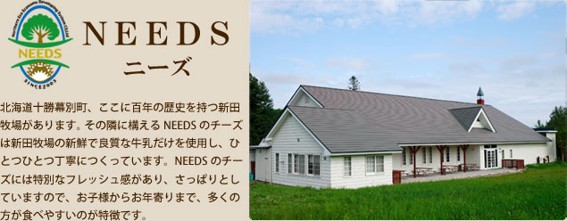 NEEDS(ニーズ)
