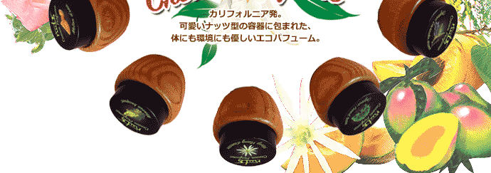 ����ե���˥�ȯ���İ����ʥåķ����ƴ����ޤ줿���Τˤ�Ķ��ˤ�ͥ���������ѥե塼��
