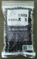 ���������̺��ݹ�Ʀ(250g)