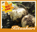 �̳�ƻ�ν���ޤ뤴�Ȥ��Ϥ��� ���������ͭ�����㤬����ʤ���������ˡס�10kg�ˡ�����̵����