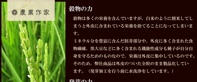 穀物の力　穀物の食物繊維は繊維質が野菜と比べかなり細かいため、腸内の浄化作用には非常に効果的と言われています。白米のように精米してしまうと、穀物繊維の大半は外皮に含まれていますのでほとんど摂取することができません。ミネラル分も胚芽部分に豊富に含まれていますので精白してしまうと栄養が少なくなってしまいます。黒大豆などに多く含まれる抗酸化作用などの機能性成分も種子が自分自身を守るためのものなので有効成分は外皮に集中しているのです。そのため、弊社商品は外皮のついた全粒のまま製品化しています。（発芽加工を行う前に水洗浄をしています。）