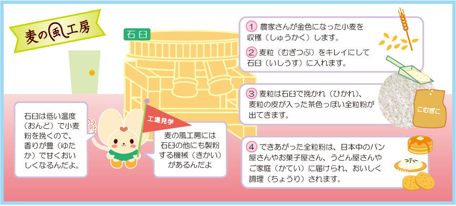 麦の風工房内部