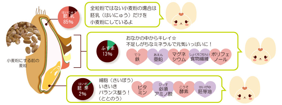 全粒粉の特徴